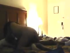 Latina likes the powerful black meat and rides her first black guy.